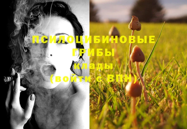 бутират Баксан