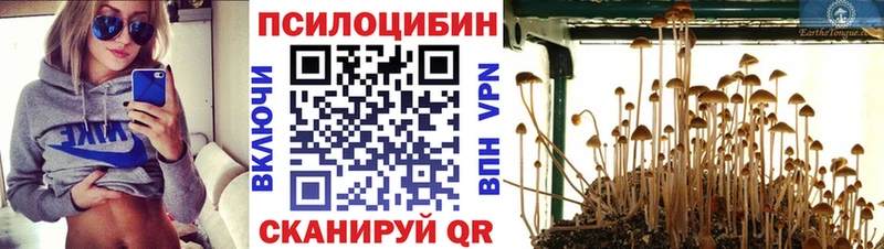 Галлюциногенные грибы GOLDEN TEACHER Стрежевой
