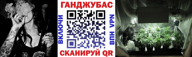 mega tor Стрежевой Каннабис планчик